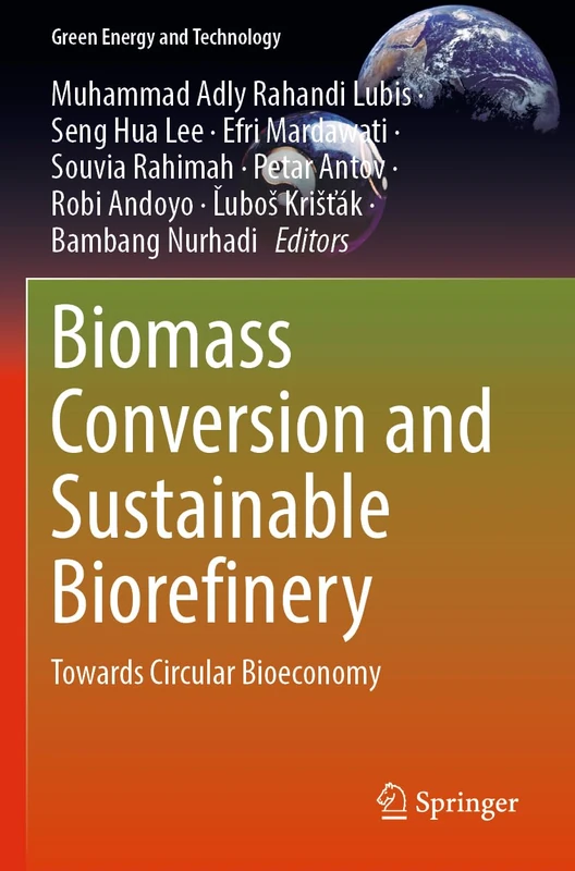 Biomass Conversion and Sustainable Biorefinery: Towards Circular Bioeconomy (Green Energy and Technology)