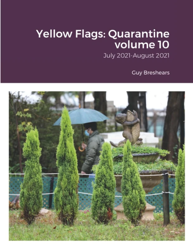Yellow Flags: Quarantine volume 10: July 2021-August 2021 - Image 1