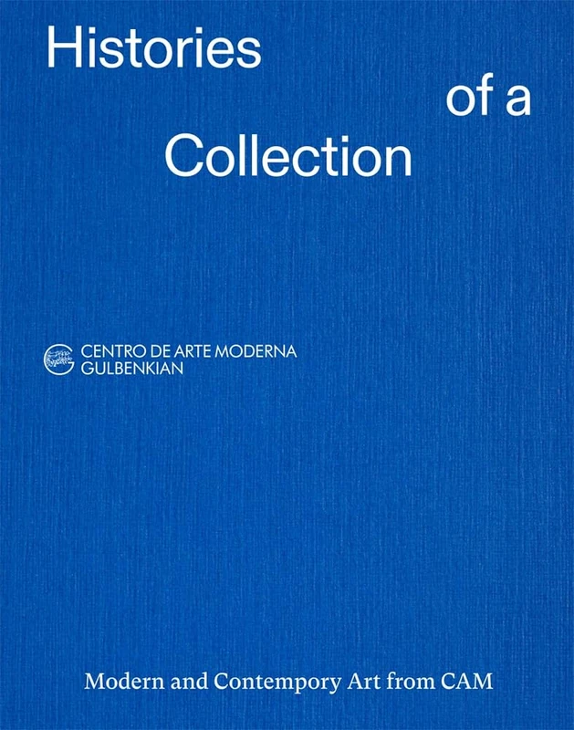 Histories of a Collection: Modern and Contemporary Art from CAM - Image 1