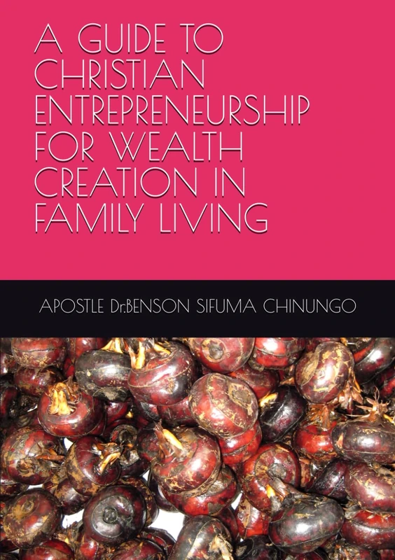 A GUIDE TO CHRISTIAN ENTREPRENEURSHIP FOR WEALTH CREATION IN FAMILY LIVING - Image 1
