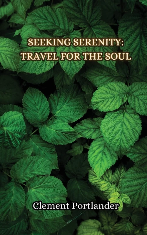 The Transformational Traveler