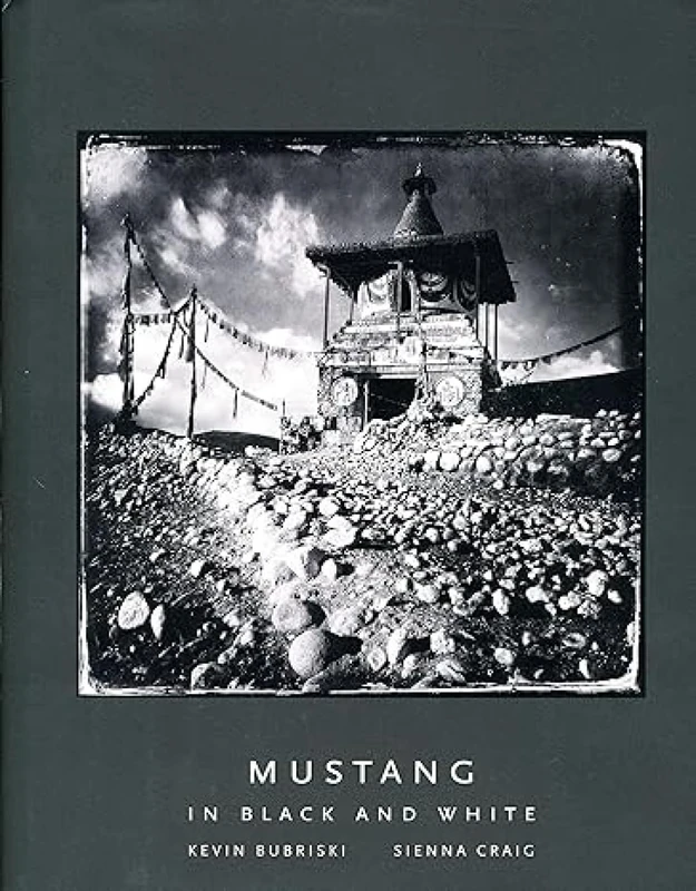 Mustang in Black and White - Image 1