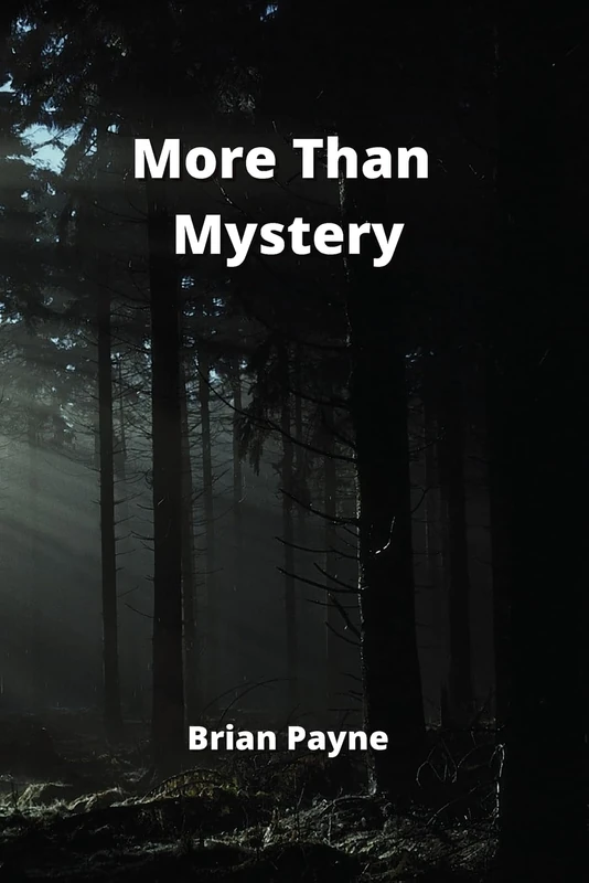 More Than Mystery - Crime Detective Short Story