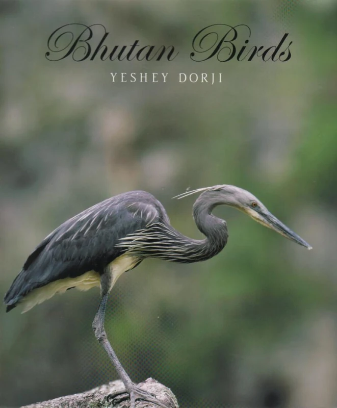 Bhutan Birds - Image 1