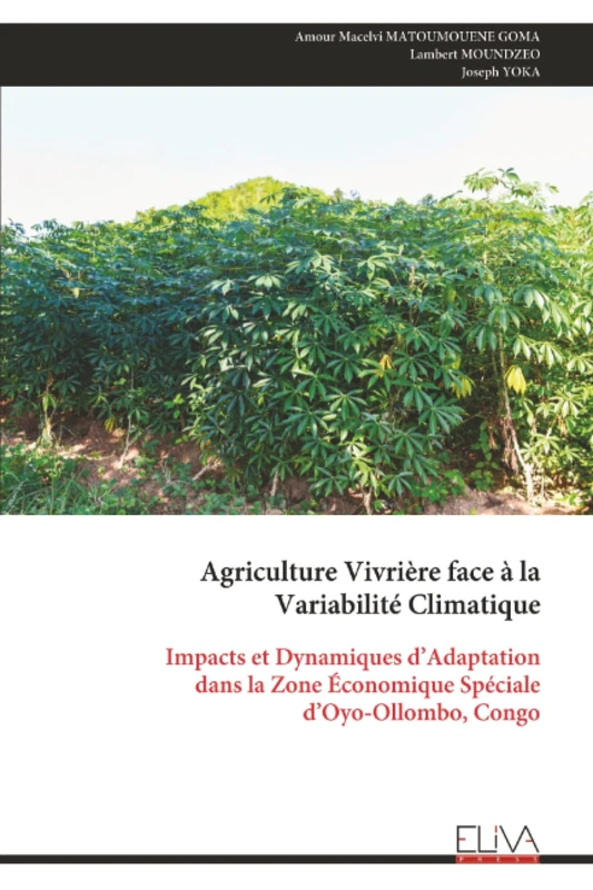Agriculture Vivrière face à la Variabilité Climatique: Impacts et Dynamiques d’Adaptation dans la Zone Économique Spéciale d’Oyo-Ollombo, Congo - Image 1