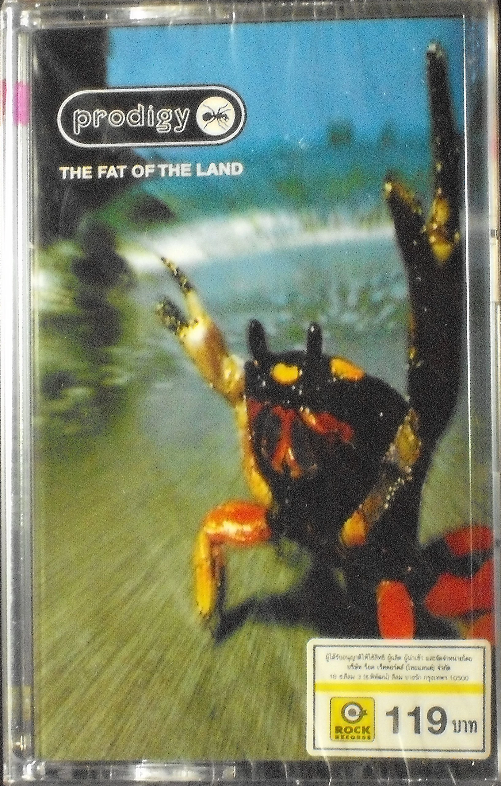 Fat of the Land [CASSETTE]