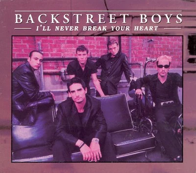Ill Never Break Your Heart