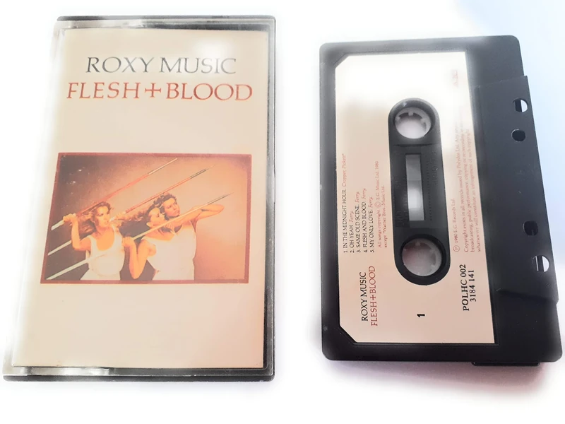 Flesh And Blood [CASSETTE]
