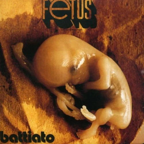 Fetus