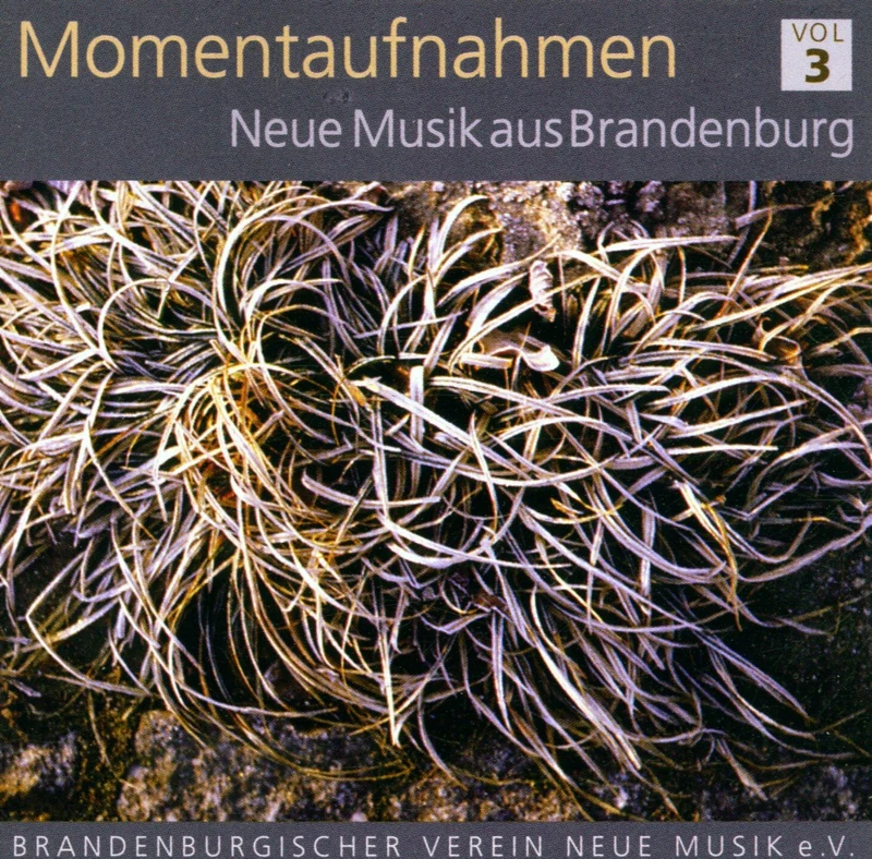 Momentaufnahmen III Neue Musik
