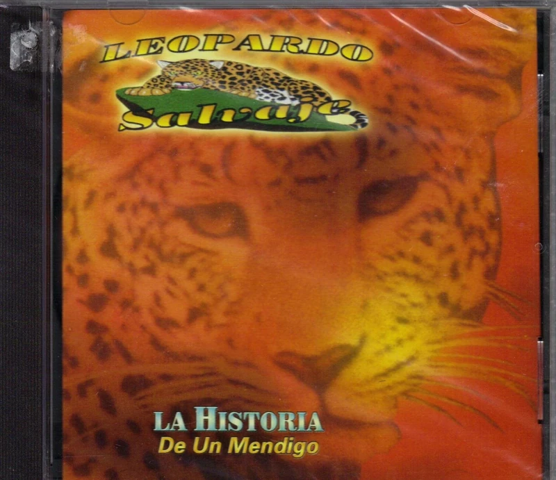 Historia De Un Mendigo