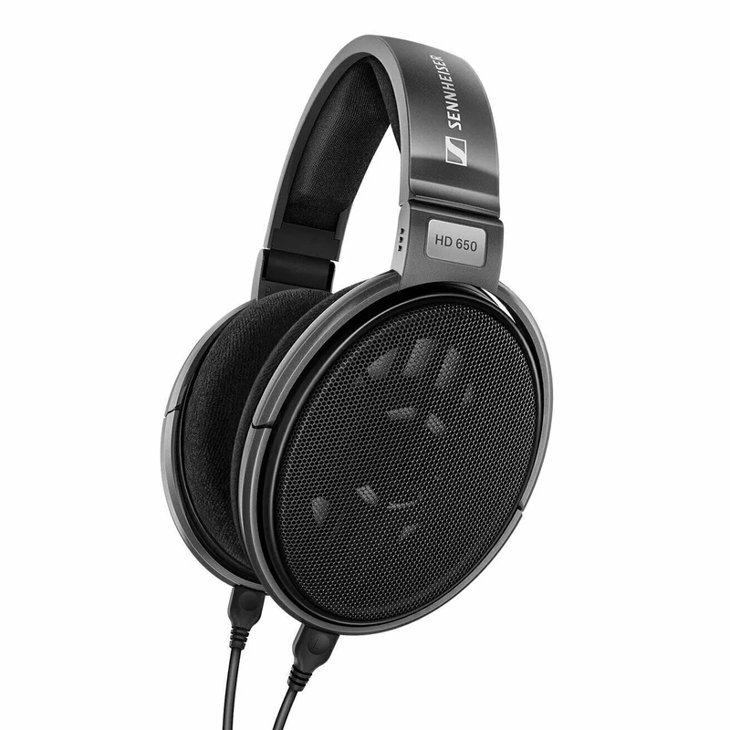 Sennheiser HD 650 Audiophile Open-Back Dynamic Headphones-Grey