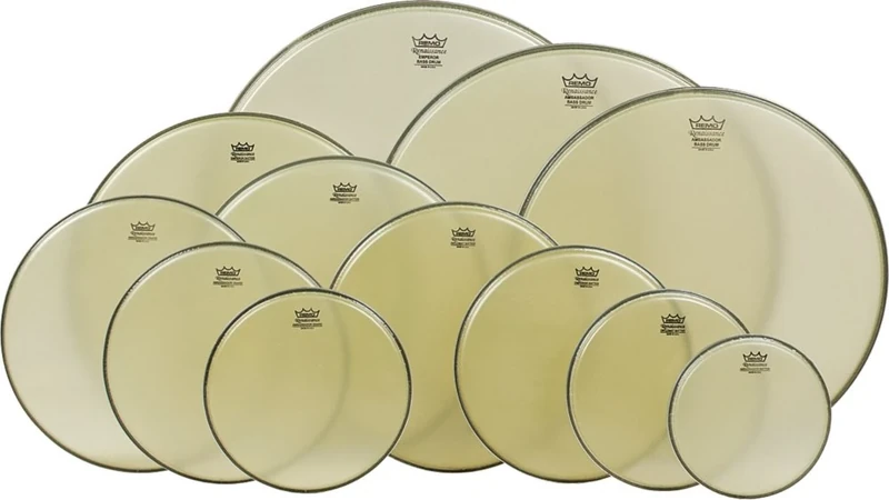 Remo Ambassador Renaissance RA-1024-SS Drum Head 24 Inches