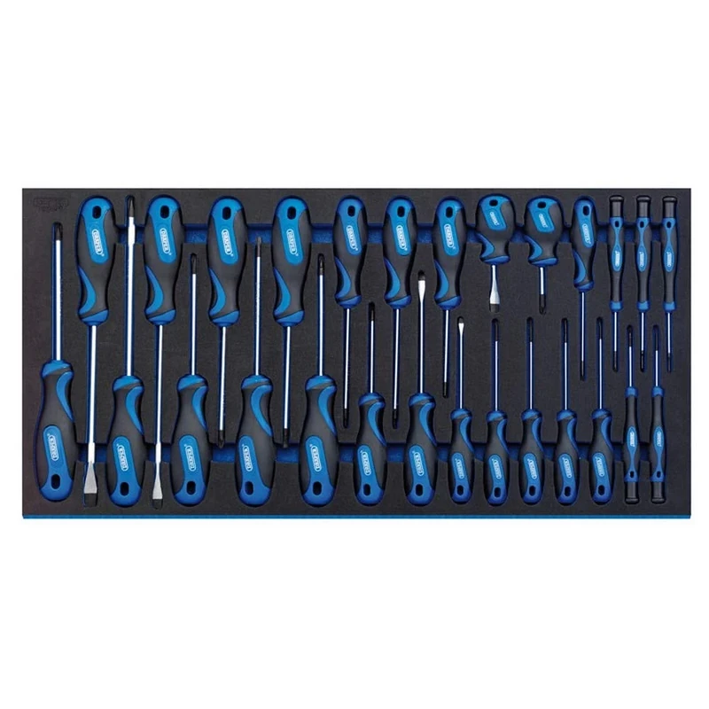 Draper 27-Piece Screwdriver Set | Soft Grip Hand Tools | Eva Insert Tray | Chrome Vanadium Steel | Sand Blast Finish Tips | Home DIY and Professional | 63406