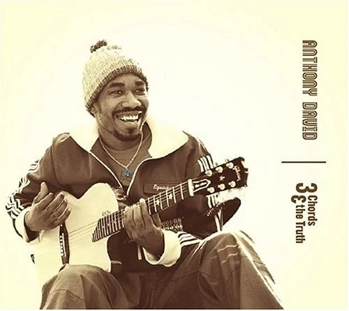 3 Chords And The Truth [Us Import]