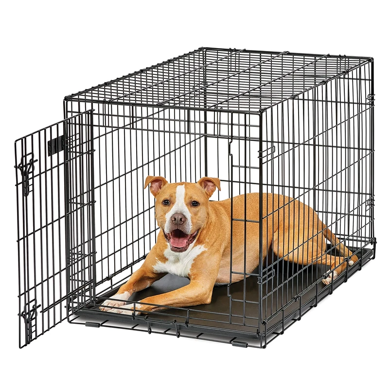 MidWest Homes for Pets Intermediate LifeStages Single Door 91 cm Folding Dog Crate, Enhanced Security, Includes Leak-Proof Pan, Divider Panel, Handle, Rubber Feet