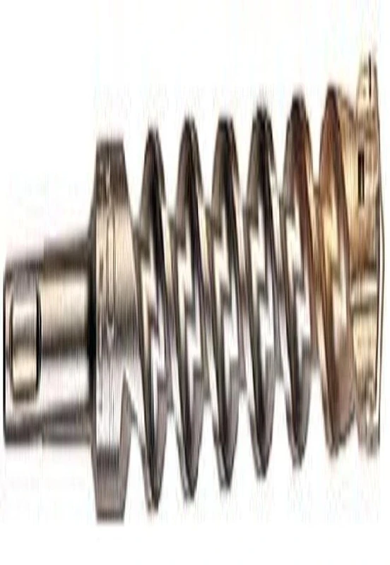 SDS-Plus P4P / 20,0 x 450 mm (631706000)