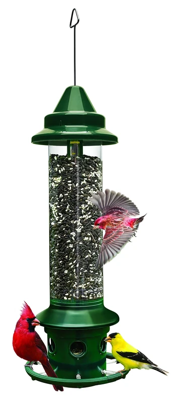 Jacobi Jayne 1024-V01 Feeder Buster Plus-Marauders Off Guaranteed Squirrel and Large Bird Proof/Metal, Green