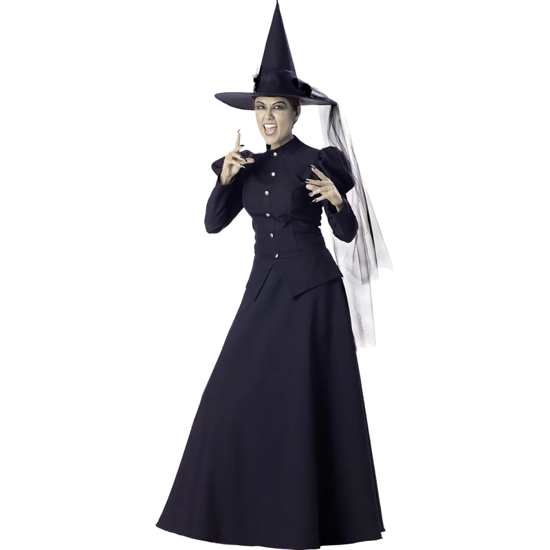 InCharacter CF1022L Witch Character Adult Size Costume, Solid, Multicolored, Large
