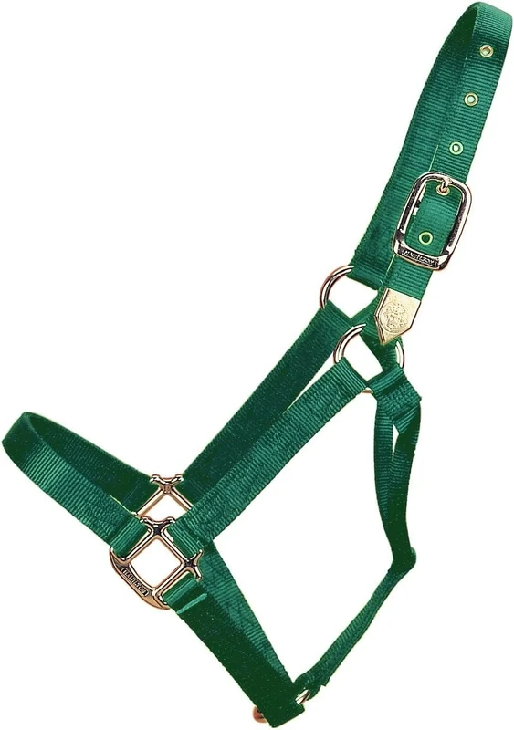 Hamilton 1-Inch Nylon Horse Halter, 800 to 1100-Pound, Dark Green