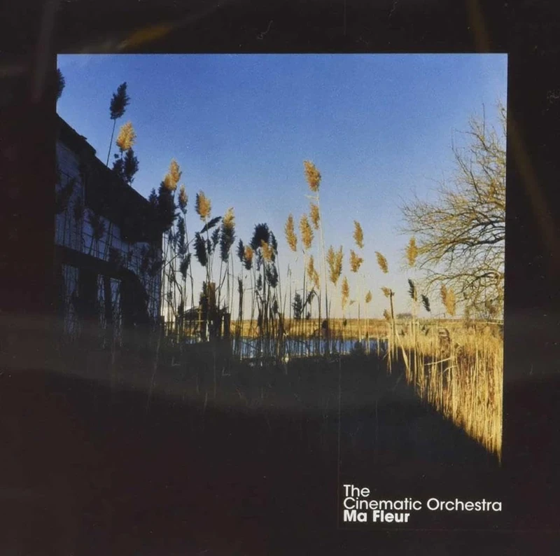 Ninja Tune Ma Fleur - The Cinematic Orchestra CD - Image 1
