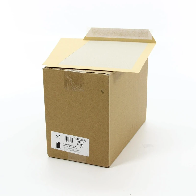 Mailmedia 381187 Papprckwand C4 Without Window 110 g/m²