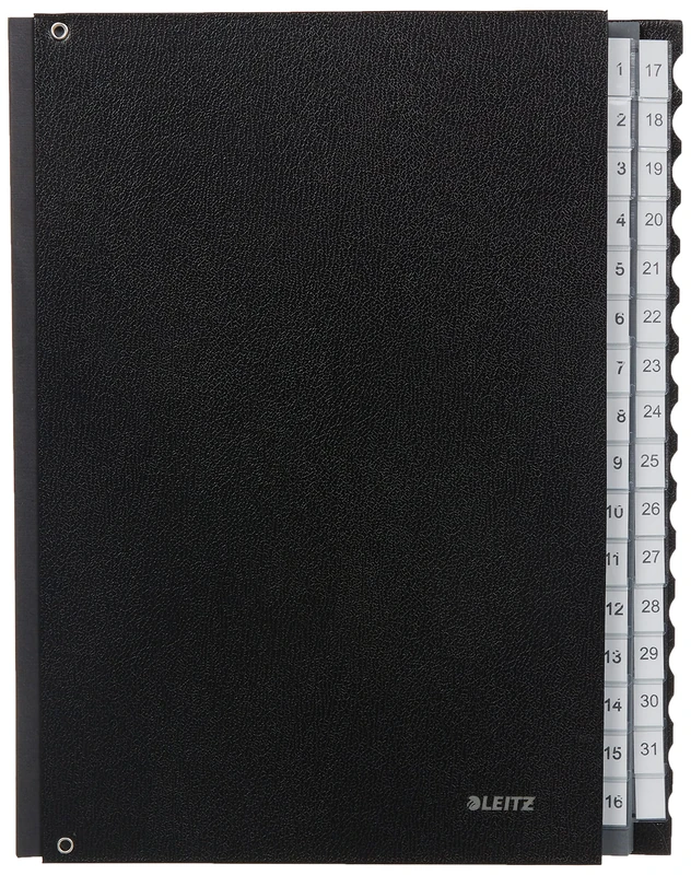 Leitz 59310095 Organiser File 1-31 32 Sleeves Polypropylene Black