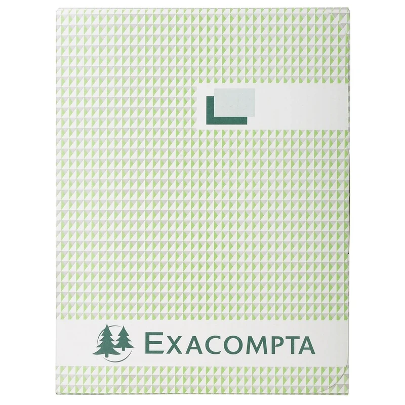 Exacompta - Ref 413E - Accounting Hard Cover Book (300 Pages) - A4 (210 x 297mm) in Size, Squared Rulings, 110gsm Paper - Numbered Pages to Avoid Tampering