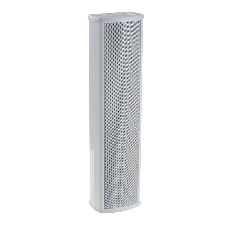 Adastra | Slimline Column Speakers for Indoor Use - Discreet White Finish, Sound, Mounting Brackets Included, 100V Line Transformer Complete with wattage tapping: 12, 6, 3, 1.5W