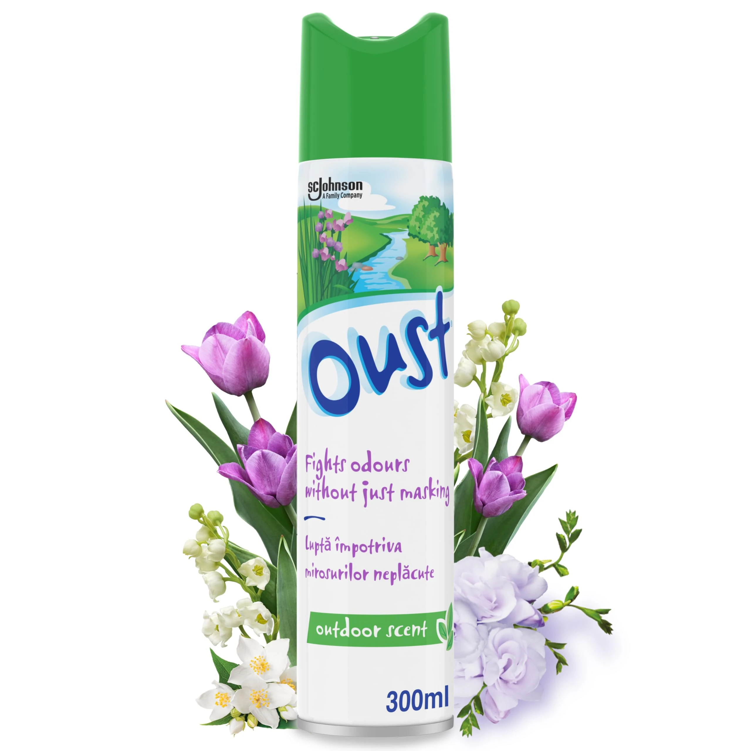 Oust Odour Eliminator Aerosol Air Freshener Outdoor Scent, 300ml