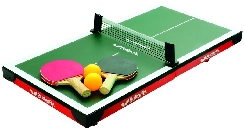 Butterfly Mini Table Tennis Table