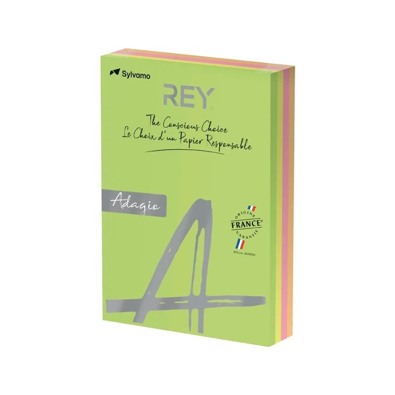 Papyrus Adagio Coloured Paper A4 125 feuilx4 Assorted Fluorescent A4 for Laser/Inkjet/Copier