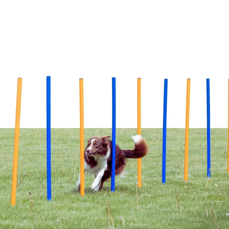 Trixie Dog Activity Agility Slalom, 115 ﾗ 3 cm, Orange/ Blue, 12 Pieces