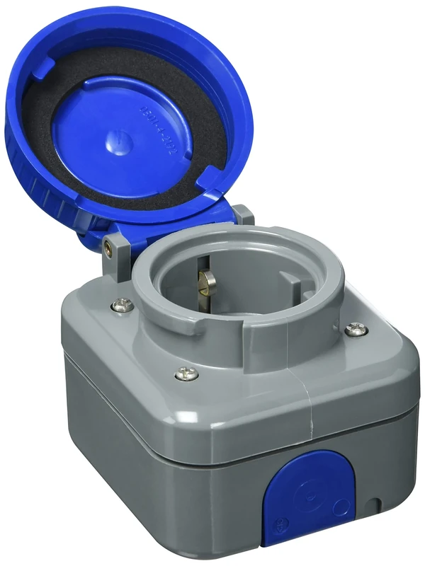 Busch-Jaeger Busc Schuko 2300 EWDI AP Socket, Colourful