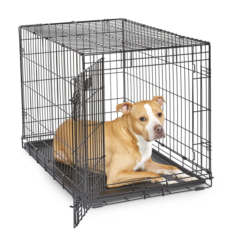 MidWest Homes for Pets Newly Enhanced Single Door iCrate 90.42 cm (36-Inch) Long Dog Crate, Includes Leak-Proof Pan, Floor Protecting Feet, Divider Panel & New Patented Features, Black, Model 1536DDU