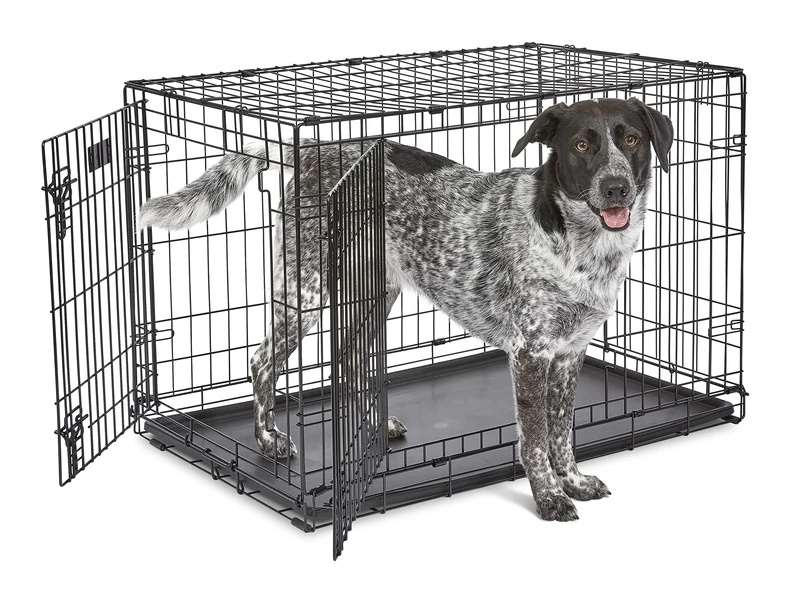 MidWest Homes for Pets 91 cm Two-Door iCrate Folding Dog Crate with Divider Panel, Leak-Proof Tray & Secure Latches – Metal Wire Kennel for M-L Breeds – Portable, Durable & Easy to Assemble