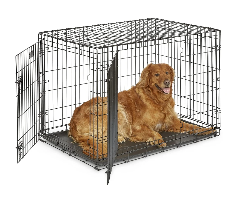 MidWest Homes for Pets 106 cm Two-Door iCrate Folding Dog Crate with Divider Panel, Leak-Proof Tray & Secure Latches – Metal Wire Kennel for Large Breeds – Portable, Durable & Easy to Assemble
