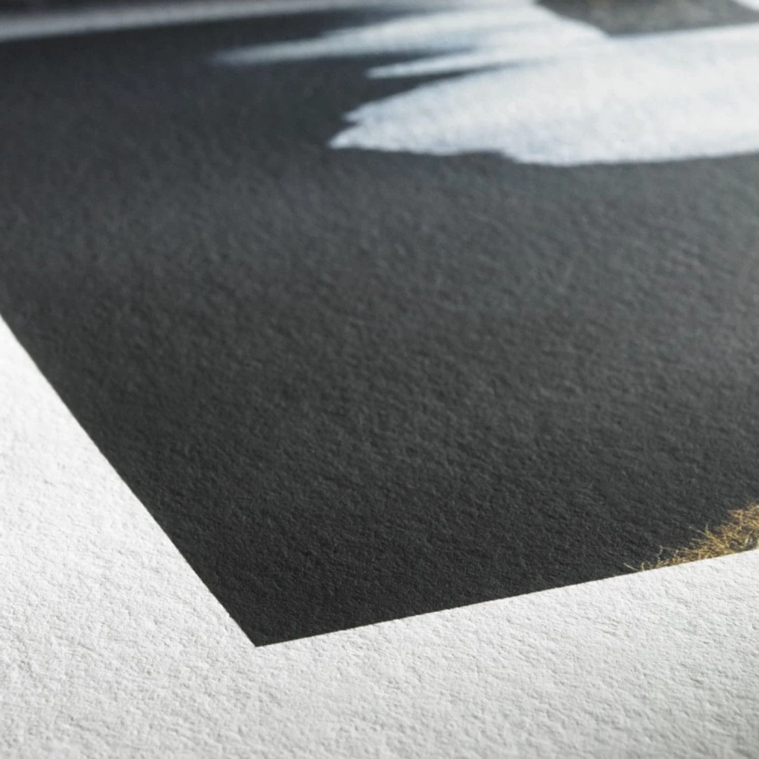 Hahnemühle 10643143 Digital FineArt Photo Rag Paper, 310 g/m², 36 Inch Roll, 914 mm x 12 m, Bright White