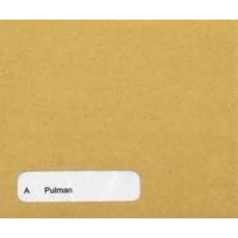 Sage SE45 Compatible Wage Envelope (Pack of 1000),Transparent,0.13 x 0.22 x 0.33 cm; 3.03 Kilograms - Image 1