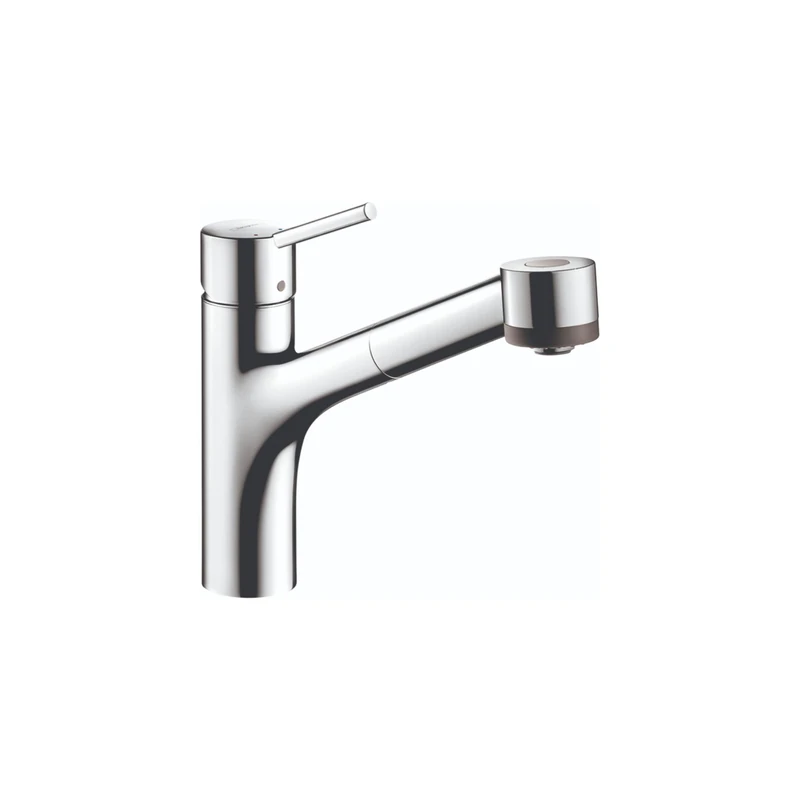 Hansgrohe 06462000 Talis S Kitchen Faucet, Chrome, 8.8" Height