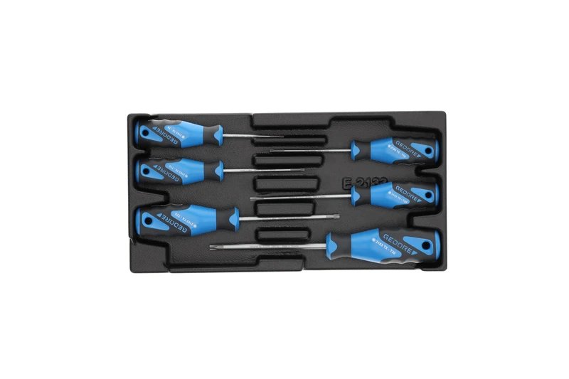 GEDORE Screwdriver Set in 1/3 ES Module, 1 Piece, 1500 ES-2163 TX