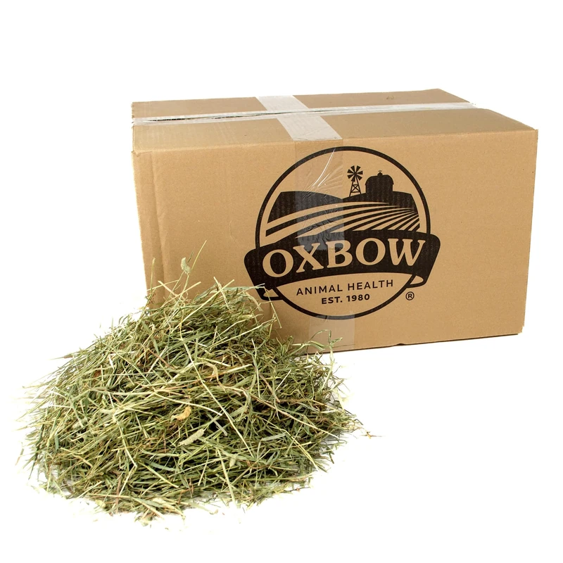 Oxbow Animal Health Western Timothy Hay, Guinea Pig Hay, Small Pet Bunny Supplies, All Natural Grass for Guinea Pig, Bunny, Chinchilla & Hamster, Rabbit Supplies for Bunnies, 25 lb box