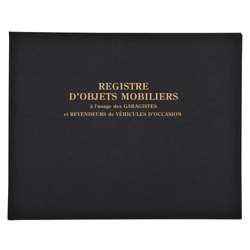 Exacompta - Ref 4441E - Horizontal Register of Moveable Objects for Garage Dealers (100 Pages) - 240 x 320mm in Size, 110gsm Paper with Green Rulings - French Text