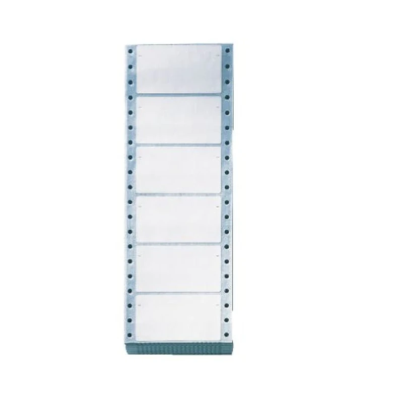 Leitz 66420000 Description Labels Self-Adhesive on Strips with Film-Strip Punched Holes at The Edges Pack of 1002 White