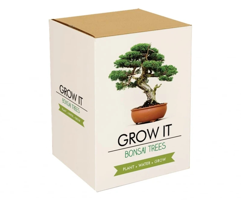 Gift Republic GR200006 Grow Your Own Bonsai Tree Kit - Image 1