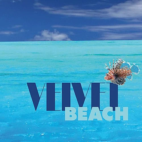 velvet beach - Image 1