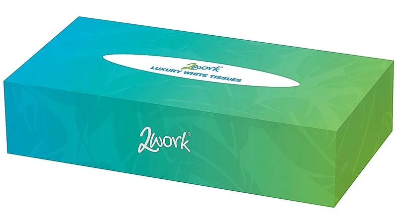 2Work Facial Tissues Box 100 Sheets 2-Ply (Pack of 36)