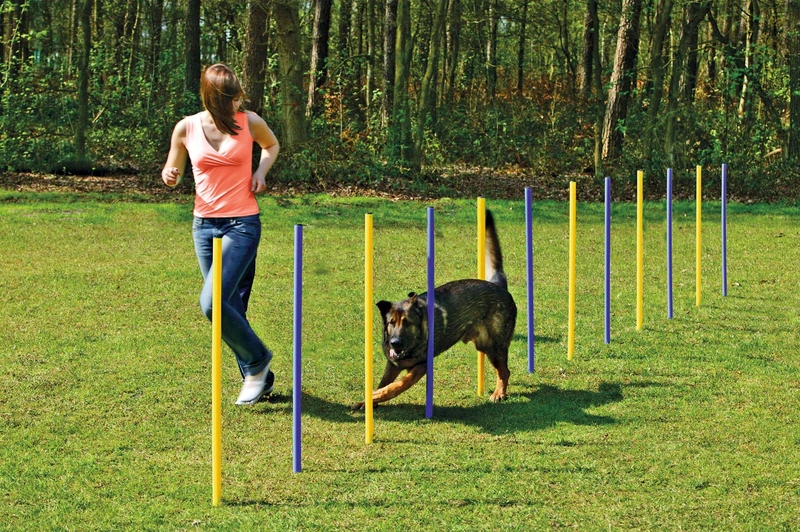 Karlie Agility Slalom (Pack of 24)
