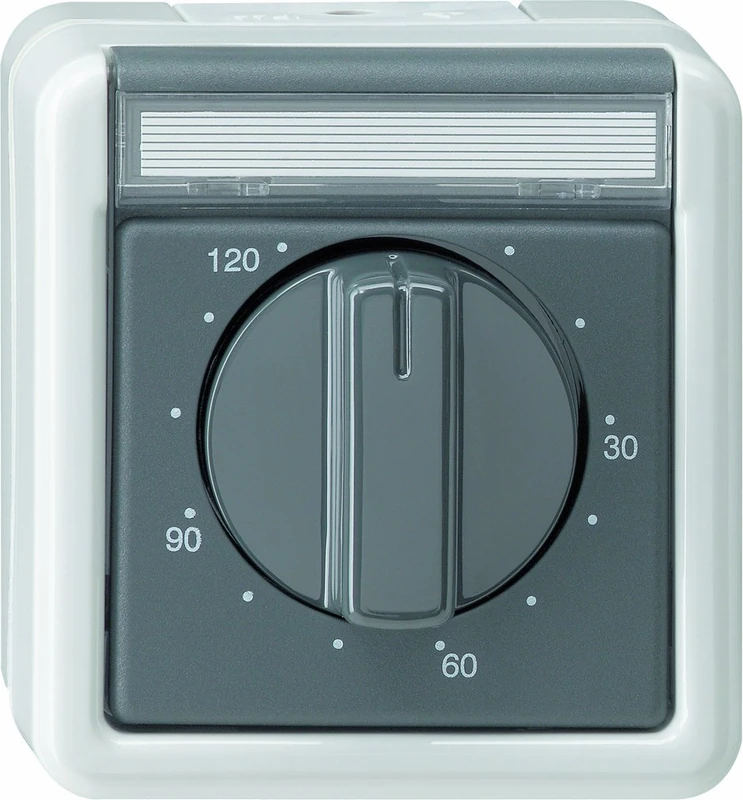 Gira 032130 Time Delay Switch 120 Minutes Water-Protected Surface-Mounted Grey