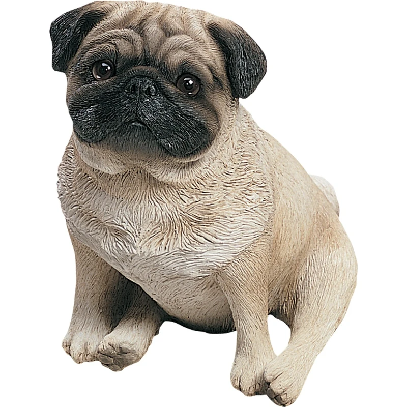 Sandicast Original Size Fawn Pug Sculpture, Sitting